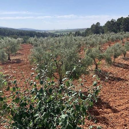 הוילה Siete Aguas El-Cortijo מראה חיצוני תמונה