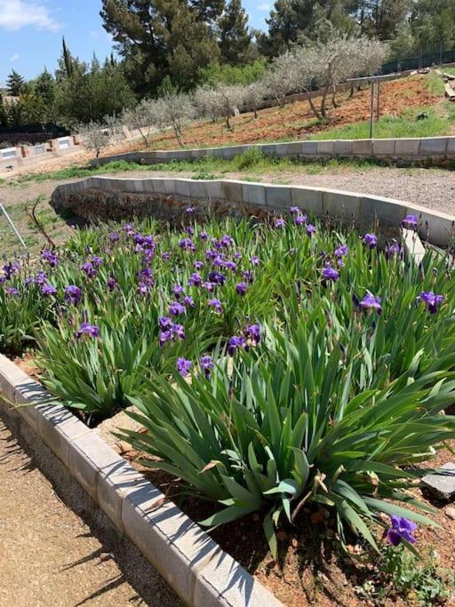 הוילה Siete Aguas El-Cortijo מראה חיצוני תמונה