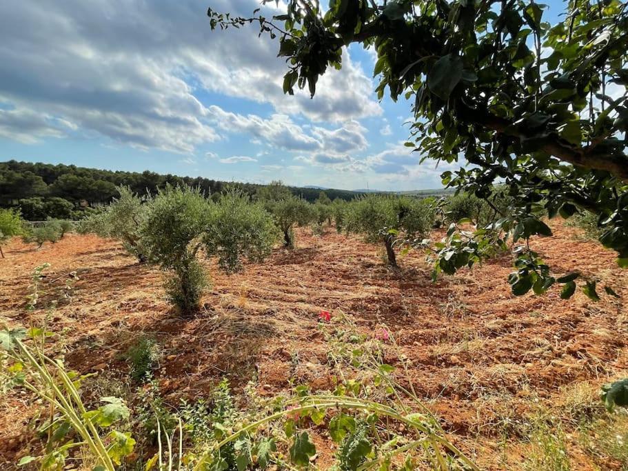 הוילה Siete Aguas El-Cortijo מראה חיצוני תמונה